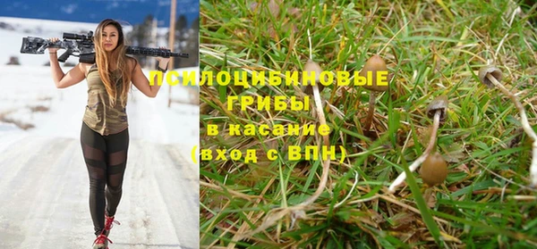 каннабис Белокуриха