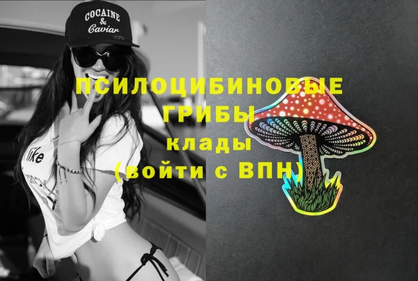 винт Беломорск