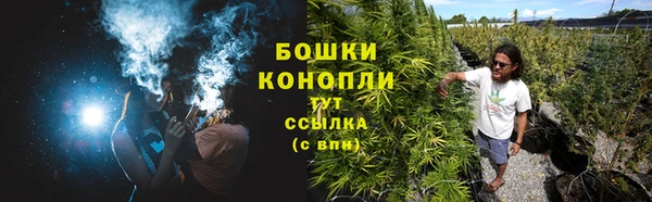 шишки Бронницы
